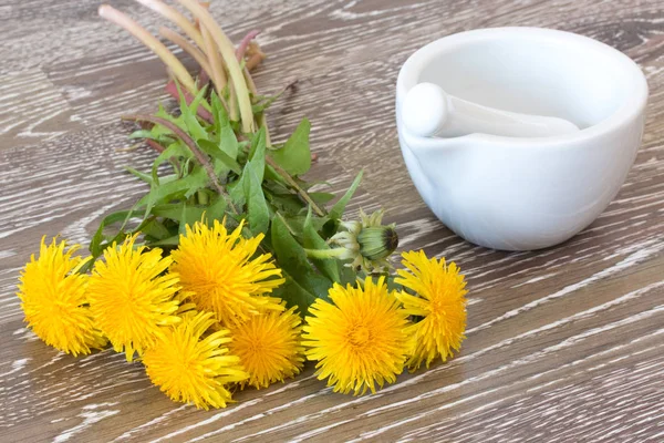 Hawkbit with mortar and pestle — Stock Photo, Image
