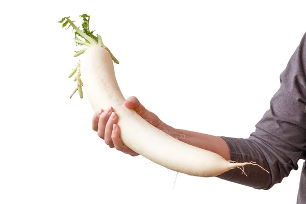 White radish — Stock Photo, Image