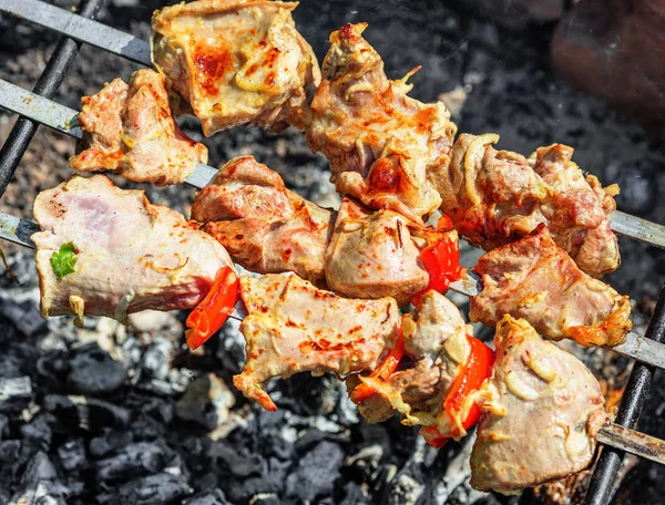 Pieces Turkey Meat Being Roasted Skewers Charcoal — Stock Photo, Image