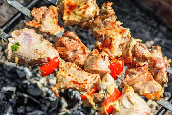Pieces Turkey Meat Being Roasted Skewers Charcoal — Stock Photo, Image