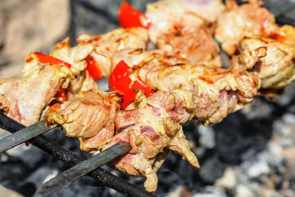 Piezas Carne Pavo Asada Pinchos Sobre Carbón Vegetal —  Fotos de Stock