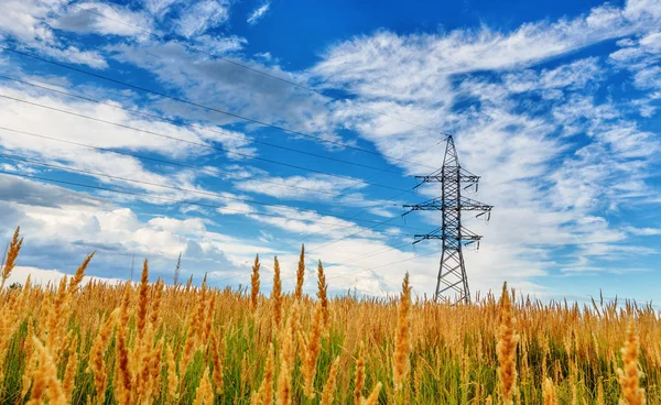 Hochspannungsleitung Unter Blauem Bewölkten Himmel — Stockfoto