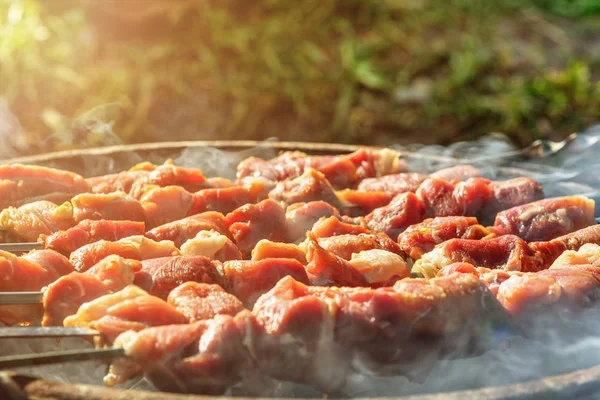 Trozos Cerdo Asados Brochetas Sobre Carbón Vegetal —  Fotos de Stock