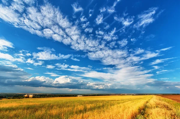 Äng Och Blå Molnig Himmel Naturbakgrund — Stockfoto