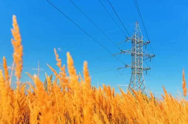 High Voltage Line Blue Cloudy Sky — Stock Photo, Image