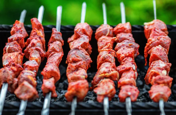 Schaschlik vom Schwein — Stockfoto