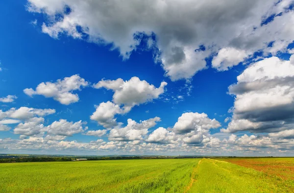 Wiese und wolkenverhangener Himmel — Stockfoto