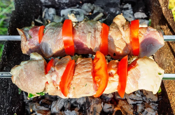 Shashlik de porc sur brochettes — Photo