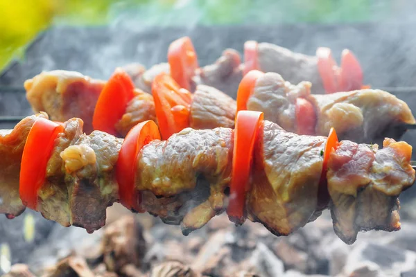 Shashlik de cerdo en pinchos —  Fotos de Stock