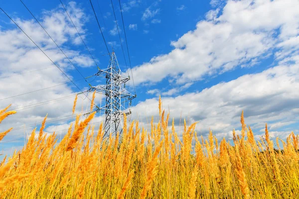 High voltage line and blue sky — Stock Photo, Image