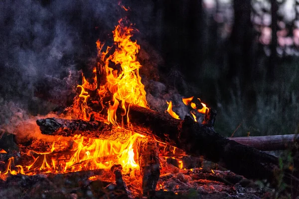 Lagerfeuer — Stockfoto