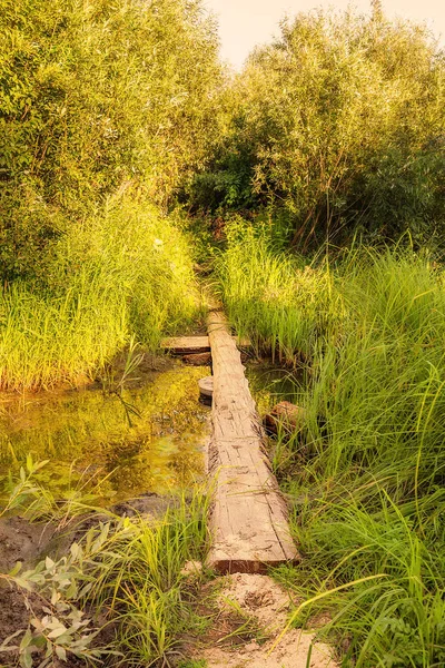 Ponte di legno — Foto Stock