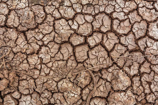 亀裂や分裂の網で覆われた土壌の閉鎖 — ストック写真