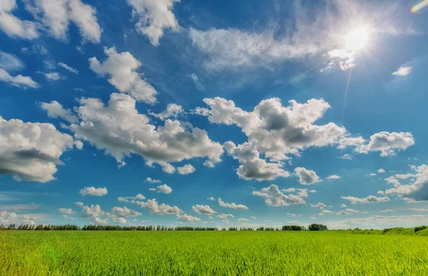 フィールド上の積雲と空飛ぶ雲と太陽の眺め — ストック写真