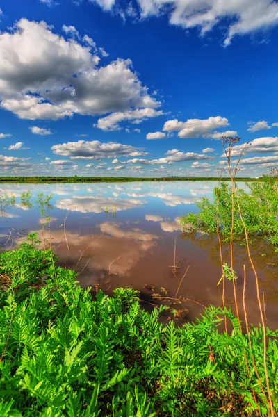 在蓝云的天空下 一面镜子般光滑的池塘 俄罗斯的土地清污 — 图库照片
