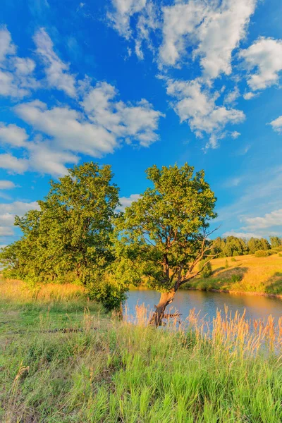 Bäume Und See Unter Bewölktem Himmel Russische Landschaft — Stockfoto