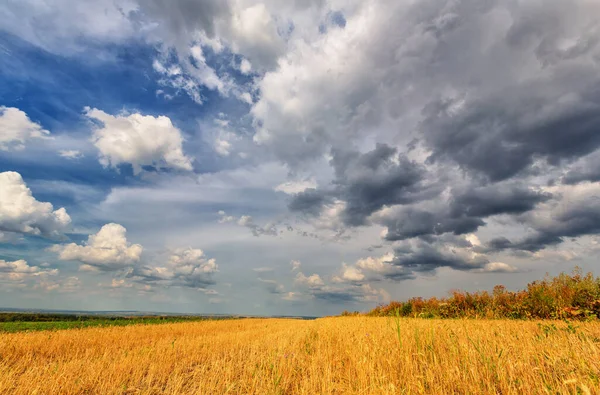 초원과 구름낀 하늘의 — 스톡 사진