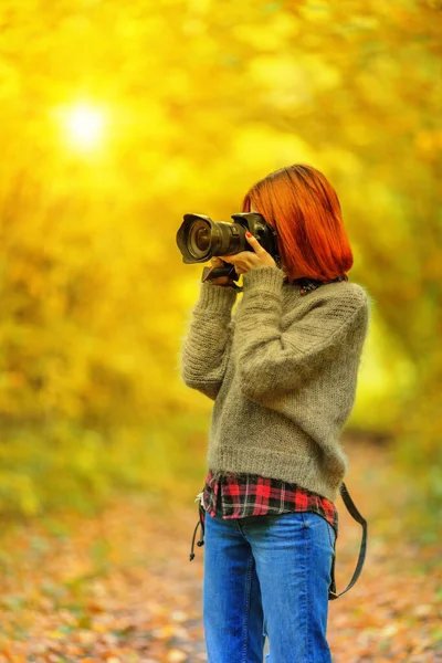 Női Fotós Forgatás Alatt Meleg Ragyogás Őszi Erdőben Sekély Dof — Stock Fotó
