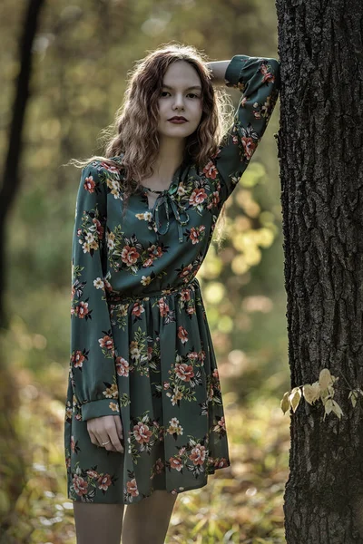 Ragazza Adolescente Abito Vicino Tronco Albero Nella Foresta Autunnale Dof — Foto Stock