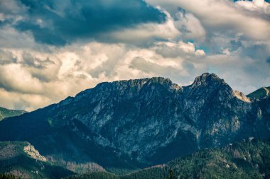 Giewont Mountain, dağlar, ilham verici manzara güzel günde yaz mavi gökyüzü, Zakopane, Polonya Tatras, çiçek ve dağ tepenin