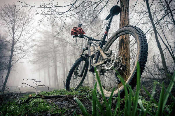 マウンテン バイクとヘルメット秋の森で Mtb 自転車とヘルメットの森の木で休みます インスピレーション スポーツ フィットネス動機と極端なサイクリング概念冒険 — ストック写真