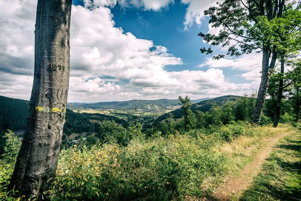 Inspirujące Krajobraz Góry Słoneczny Dzień Lecie Sudetów Polska Piękny Widok — Zdjęcie stockowe