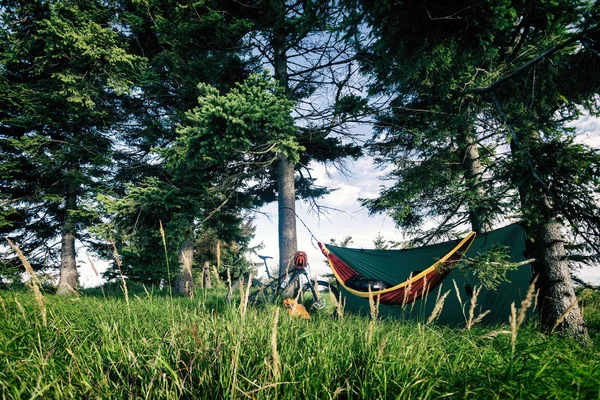 Camping Erdőben Függőágy Hálózsákot Hegyi Kerékpáros Túra Zöld Hegység Kemping — Stock Fotó