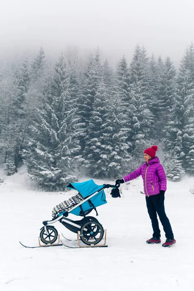 Matka Wózek Korzystających Macierzyństwo Zima Las Góry Krajobraz Joggingu Lub — Zdjęcie stockowe