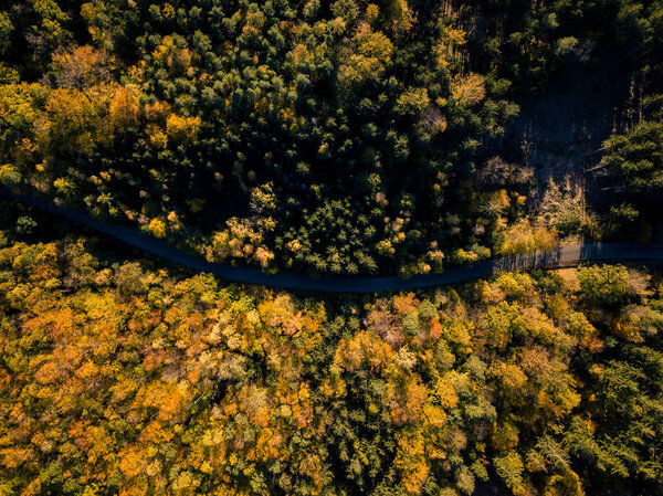 Aerial view of road in the autumn forest, from above view, drone point of view. Inspiring autumn season landscape background.