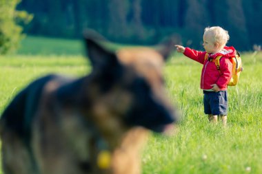 Yeşil çayır köpeği ile oynarken erkek bebek. Tatil zam genç çocuk. İlham verici seyahat ve Turizm kavramı.