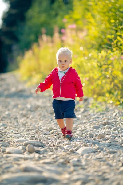 Niño Caminando Por Camino Tierra Bosque Niño Pequeño Vacaciones Senderismo —  Fotos de Stock