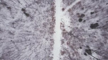 Uçan beyaz kış orman yolu, üstten görünüm dron havadan görüntüleri, üstten alta hareketli kamera yukarıda. İlham verici kış konsepti. Stabilize görüntüleri gimbal. 4 k Dlog ile vurdu.