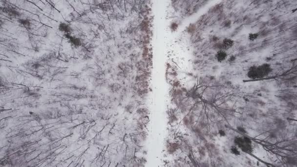 Vliegen Boven Witte Winter Forest Road Bovenaanzicht Drone Luchtfoto Beelden — Stockvideo