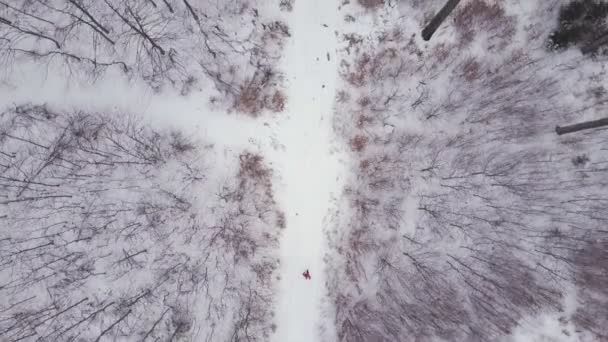 Man Loopt Witte Winter Bos Weg Bovenaanzicht Drone Luchtfoto Beeldmateriaal — Stockvideo