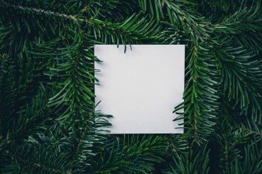 Noel kartı kayda göre yeşil çam ağacı dalları wbackground. En iyi portre görünümü ile kopya alanı.