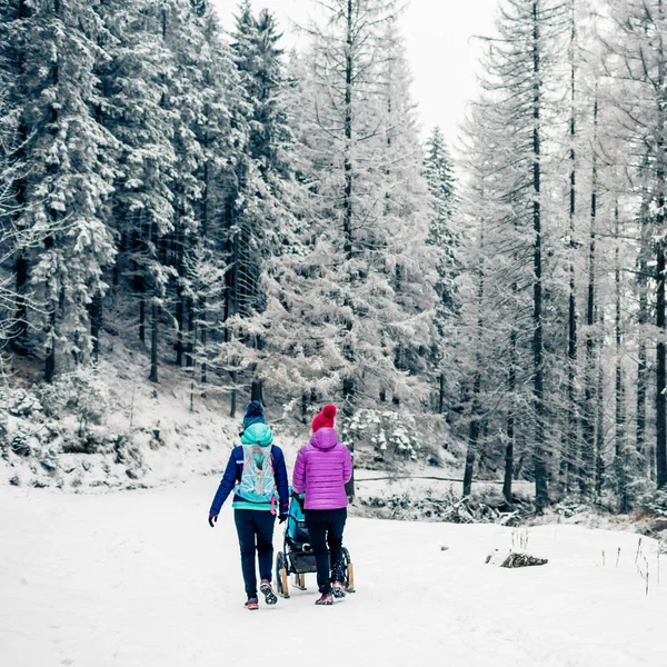 Две Женщины Детской Коляской Наслаждаются Материнством Зимнем Лесу Горным Пейзажем — стоковое фото