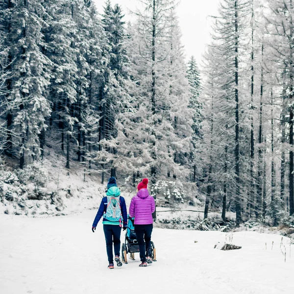 Dos Mujeres Con Cochecito Bebé Disfrutando Maternidad Bosque Invierno Paisaje —  Fotos de Stock