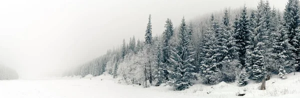 Panorama Del Bosque Blanco Invernal Con Nieve Las Montañas Tatra — Foto de Stock