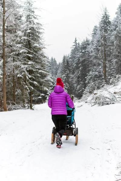 Mutter Mit Kinderwagen Genießt Mutterschaft Winterwald Berglandschaft Wanderin Mit Schlittenwagen — Stockfoto