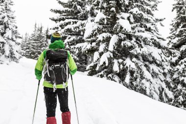 Kış trek beyaz karlı ormandaki. Adam kış ormanda hiking. Seyahat ve açık havada güzel doğada sağlıklı yaşam tarzı.