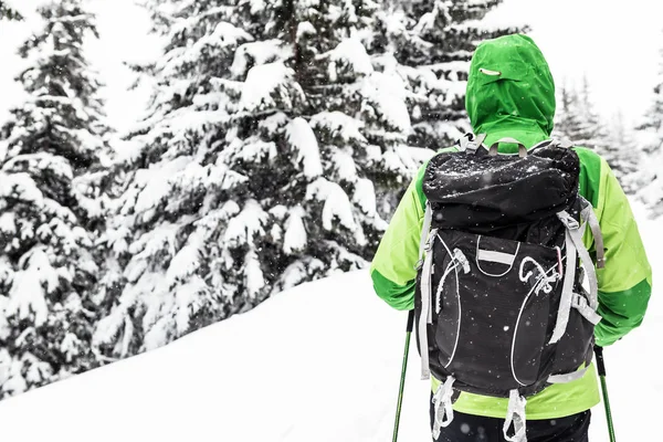Winter Trek White Snowy Forest Man Hiking Winter Woods Travel — Stock Photo, Image