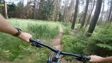 Ormanda yolda çakıllı dağ bisikleti sürmek. Birinci şahıs bakış açısından bak Pov. 4k titreşim sabitleyici video, Gopro Kahraman 7 siyah.