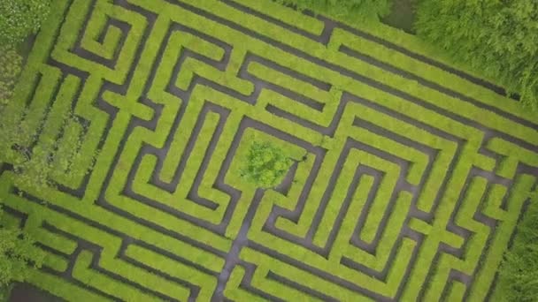 迷路の空中ビュー 公園の緑の迷路 上からのドローンの視点 — ストック動画