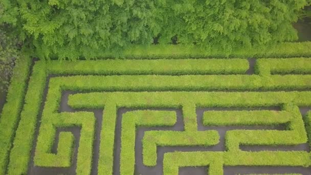 Vista Aérea Labirinto Labirinto Verde Parque Ponto Vista Drone Cima — Vídeo de Stock