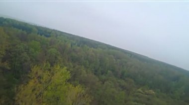 Yeşil orman ve ağaçların üzerinde sisli bir sabah manzarası. Ağaçların üzerinde uçan drone, kuş bakışı.