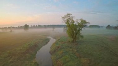 Yavaş çekimde sisli bir sabah ve nehir üzerinde süzülen hava manzarası. Ağaçlar arasında uçan drone, kuşların gözü önünde.