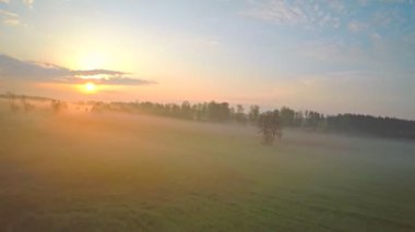 Yavaş çekimde sisli bir sabah ve nehir üzerinde süzülen hava manzarası. Ağaçlar arasında uçan drone, kuşların gözü önünde.