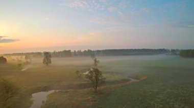 Yavaş çekimde sisli bir sabah ve nehir üzerinde süzülen hava manzarası. Ağaçlar arasında uçan drone, kuşların gözü önünde.