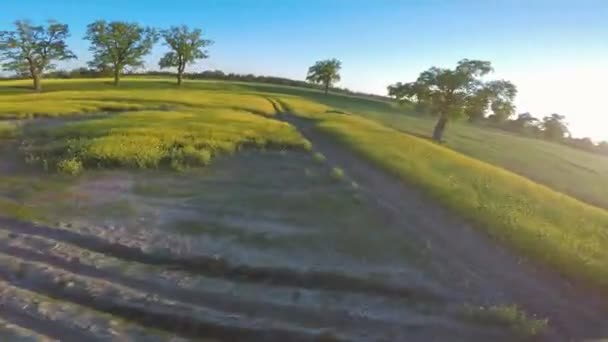 在绿色和黄色的田野上闪烁着快速的空中景色 在树间飞驰的无人驾驶飞机 — 图库视频影像