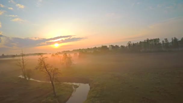 Скользящий Замедленный Вид Воздуха Туманное Утро Над Полями Рекой Беспилотник — стоковое видео